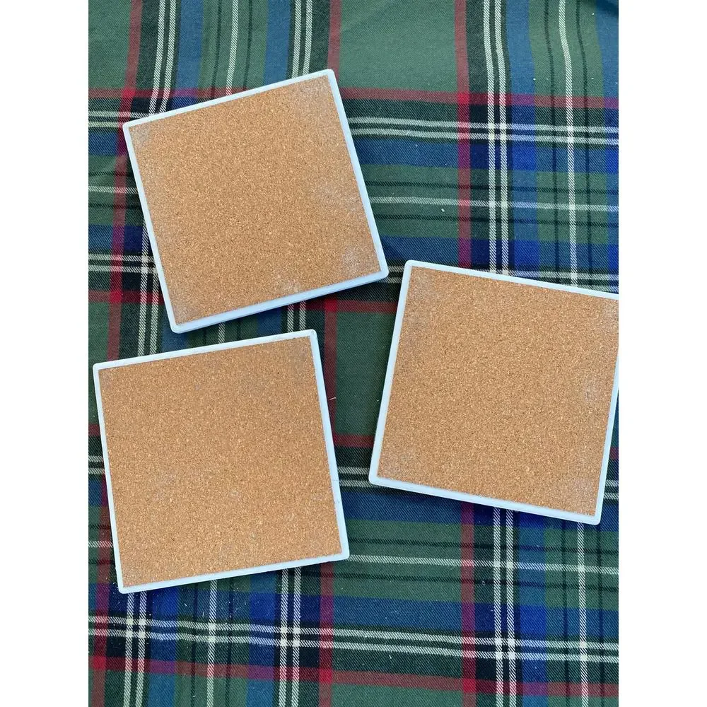 Painted Slate Summer Cork Backed Coasters Set‎ of 3 Watermelon Motif